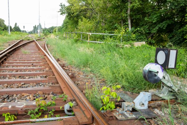 Neben den Gleisen führt eine Grünfläche entlang